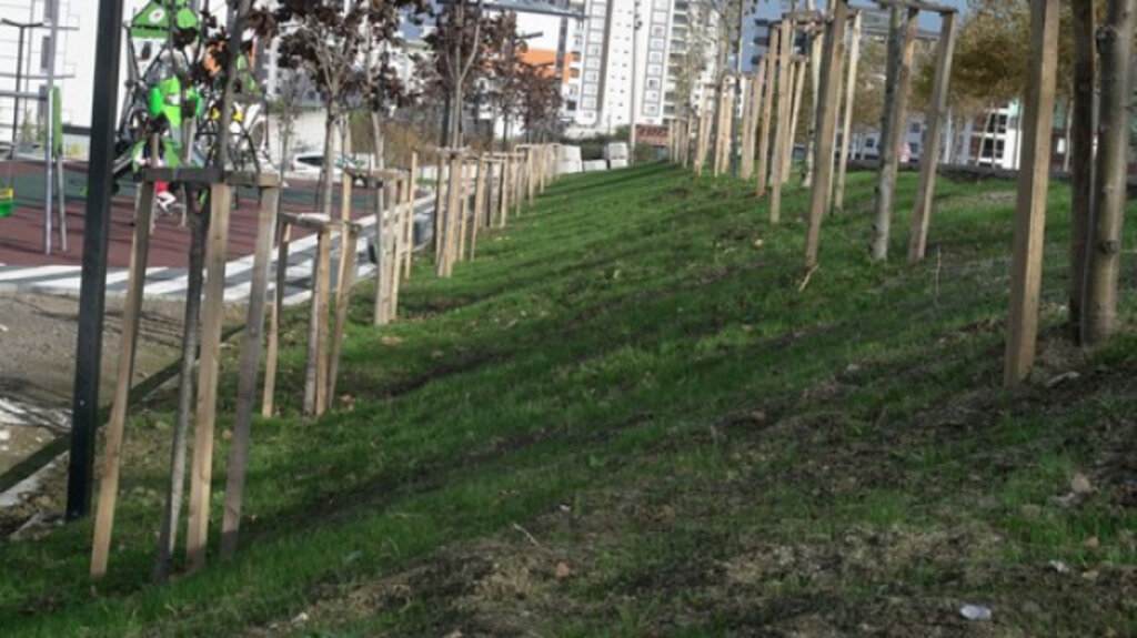Hydroseeding Yöntemi Samsun’da İlk Kez Kullanıldı!