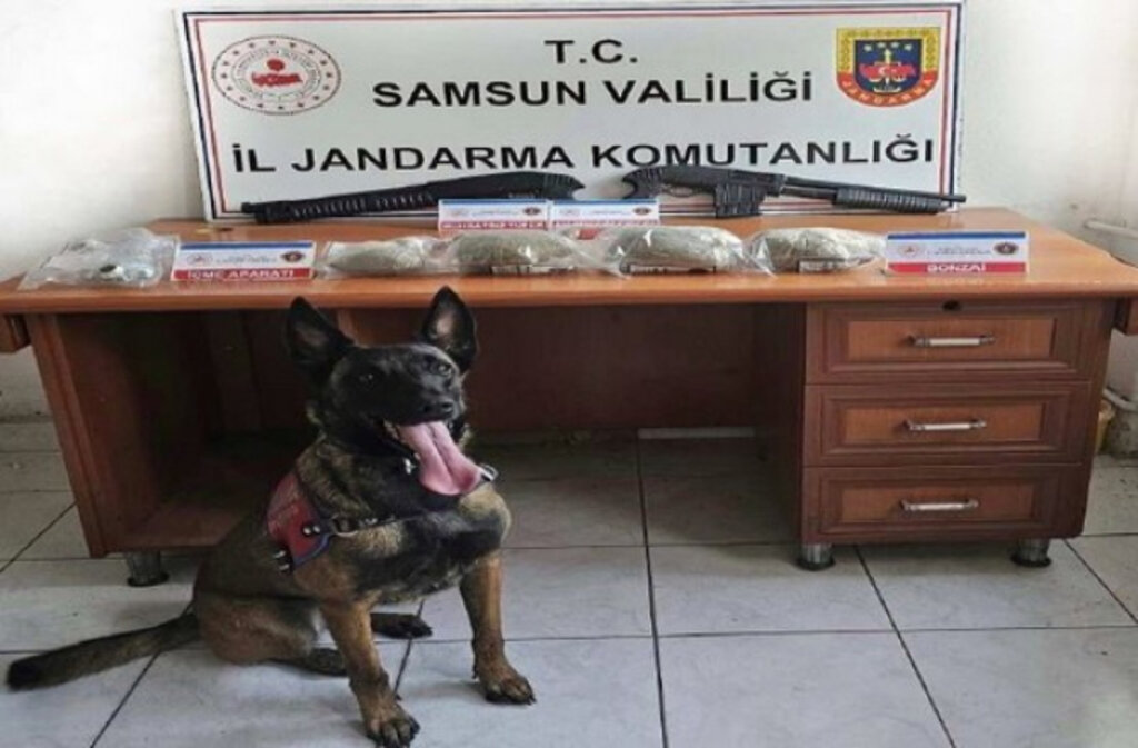 Samsun’da Emniyet ve Jandarmanın Eylül Ayı Faaliyetleri!