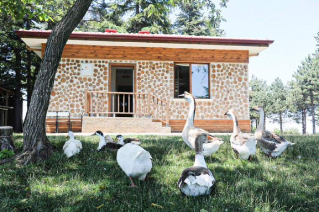 Canik Orman Okulu'nda 4 Bin 974 Öğrenciye Eğitim!