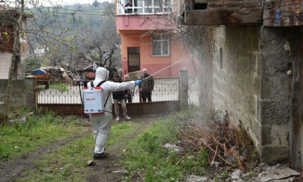 Atakum Belediyesi Kokarca Böceği İle Mücadele Çalışmalarına Son Hız Devam Ediyor!
