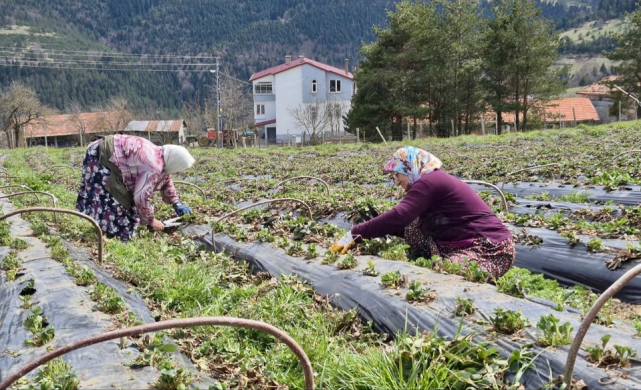 Büyükşehir Destekliyor, Samsun Üretiyor!