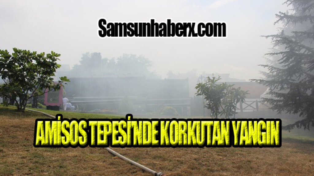 Samsun Amisos Tepesi’nde Yangın Paniği!