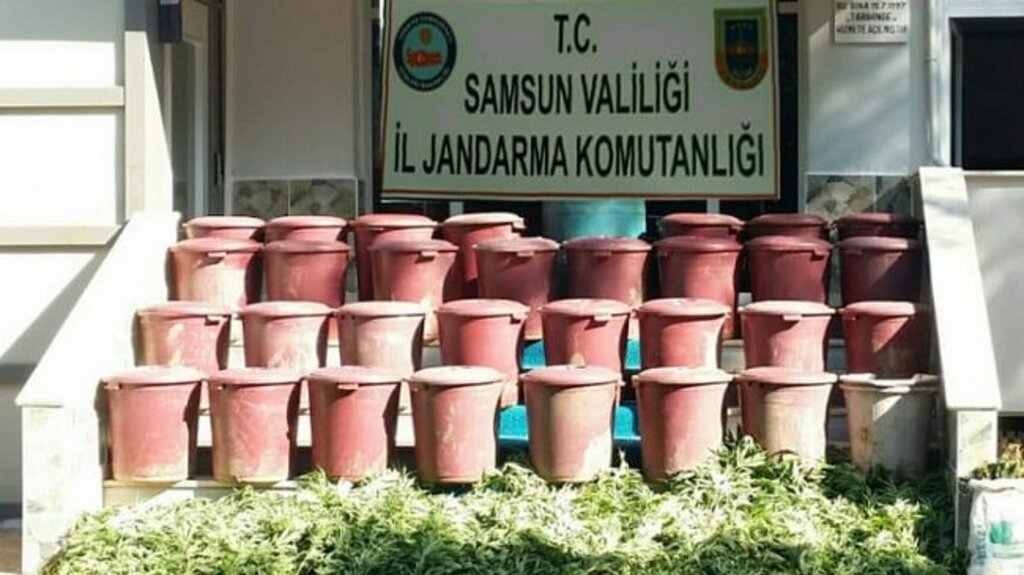 Şafak Operasyonu İle Samsun’da Uyuşturucuya Darbe!