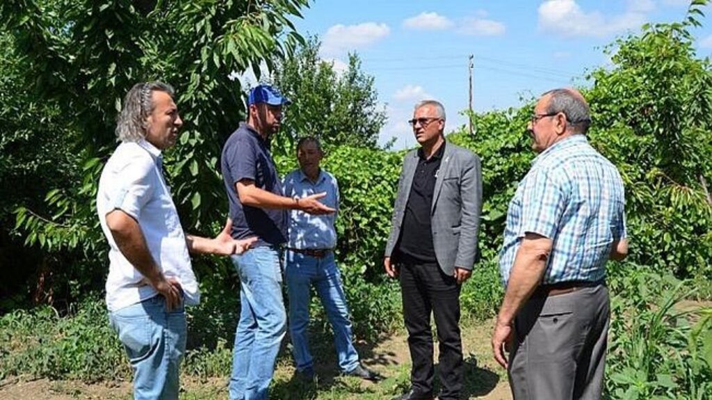 Belediye Başkanı Santral İçin Kooperatif Kurdu!