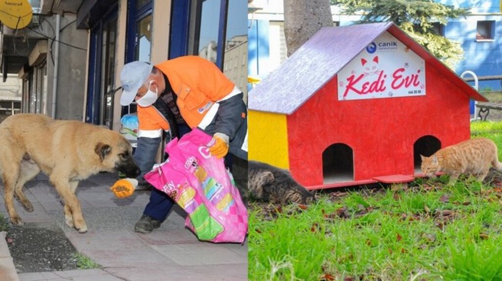 Can Dostlar Canik’te Emin Ellerde!