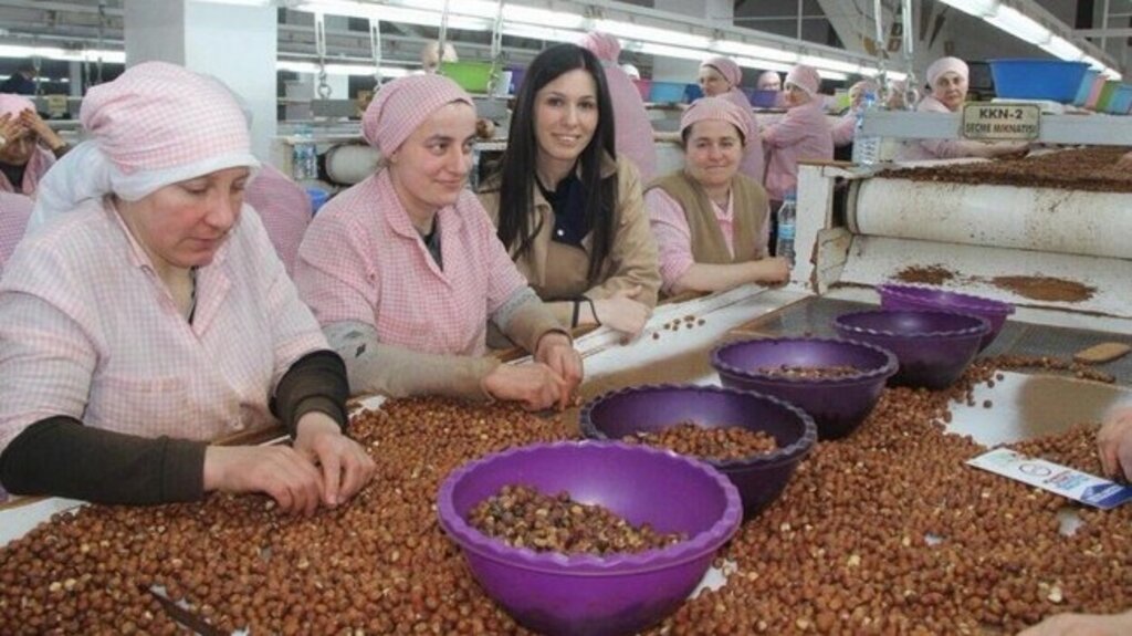 Karaaslan, ‘Fındık Fiyatları Üreticilerimizi Memnun Etti’!