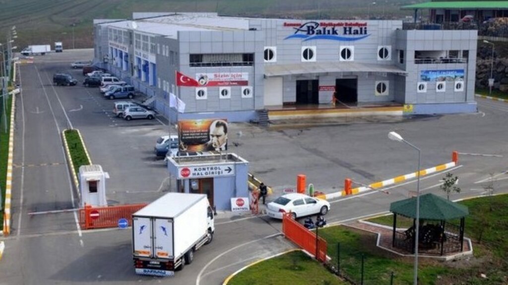 Samsun’da Bu Sezon En Fazla Hamsi Tüketildi!