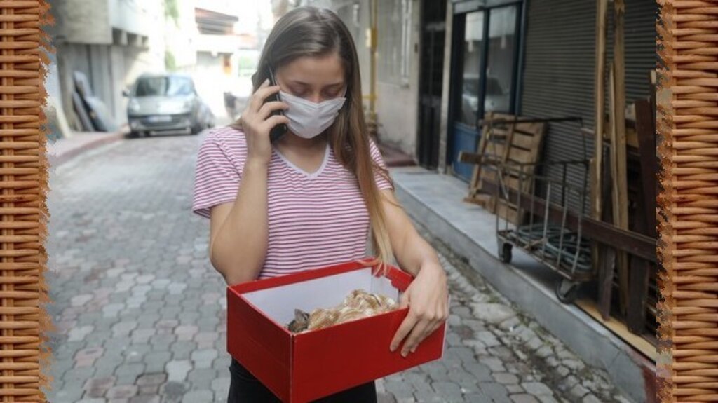 Samsun’da Yavru Kedinin Yardımına Koştu!