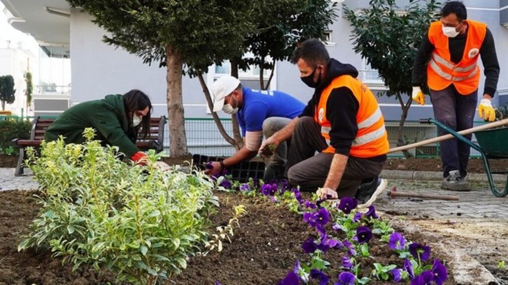 Atakum Parklarına Rengârenk Bitkiler Dikildi!