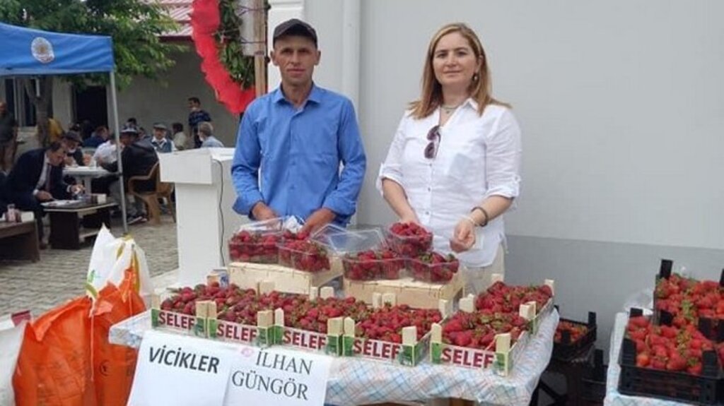 Samsun’da Çilek Yetiştiriciliği Yaygınlaşıyor!