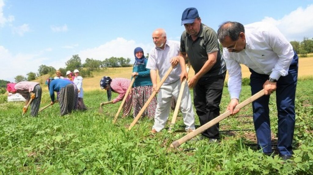 Samsun Büyükşehirden Çiftçiye 7,5 Milyon Lira Destek!