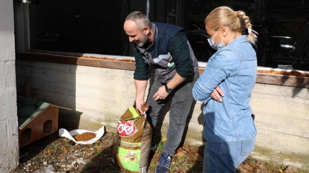 Kedi Evi Projesi İlkadım’da Hayat Buldu!