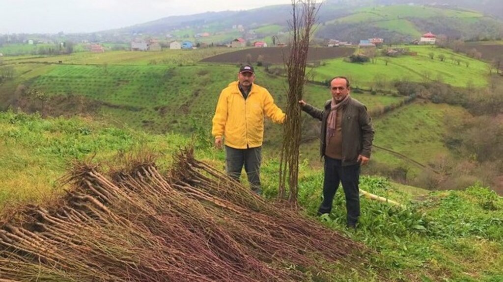 Samsun’da Çiftçiye Nefes Aldıran Destek!