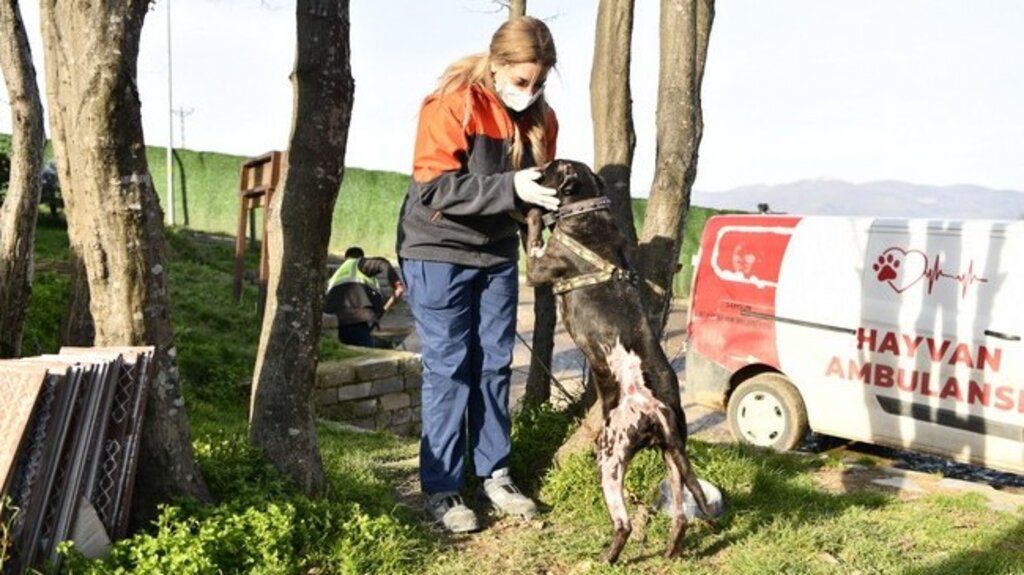 Terk Eden 30 Bin TL Ödeyecek!