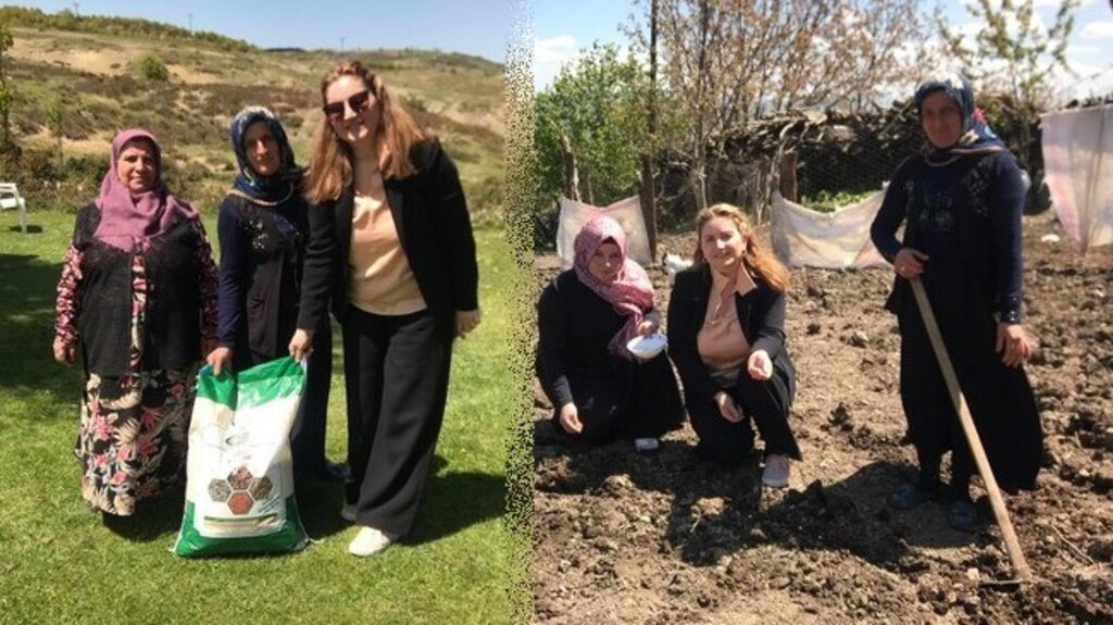 Büyükşehir’in Destekleriyle Samsun’da Fasulye Üretimi Yaygınlaşıyor!