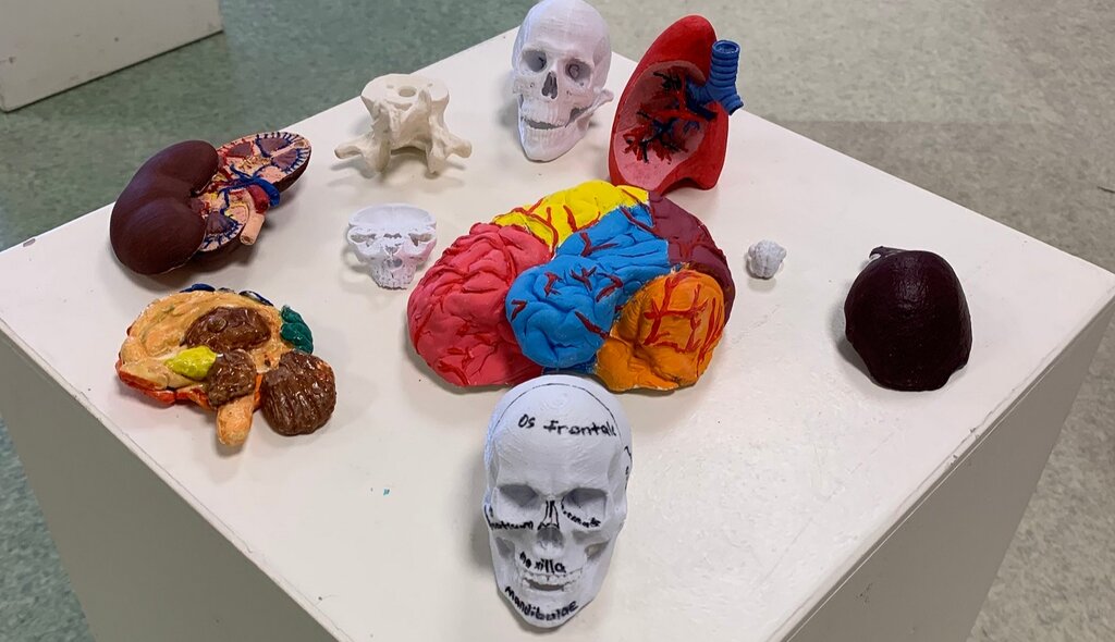 Farklı Maddeler Samsun'da Anatomik Materyallere Dönüştü! 