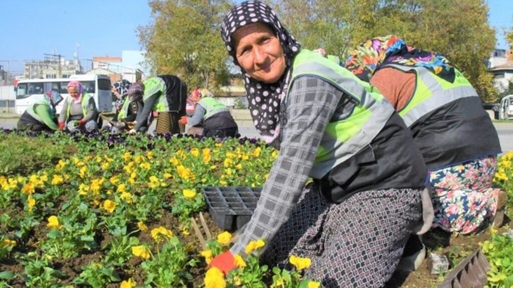 Samsun Botanik Bahçeye Dönecek!