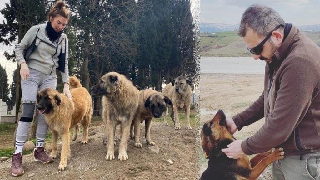 Yüzlerce Sokak Hayvanını Besliyorlar!