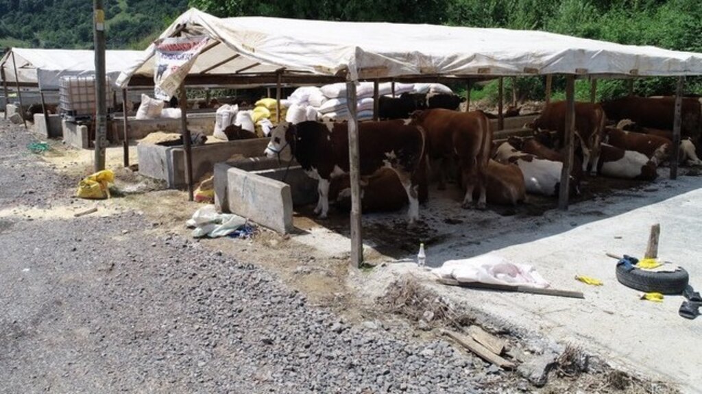 İlkadım’a İlk Kurbanlıklar Diyarbakır’dan Geldi!
