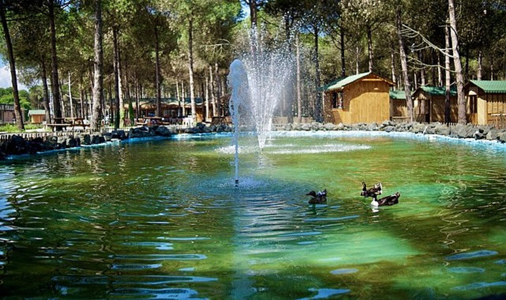Samsun’da Bir Tabiat Harikası ‘Çarşamba Orman Park’!