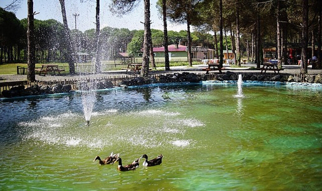 Çarşamba’da Büyük Turizm Hamlesi!