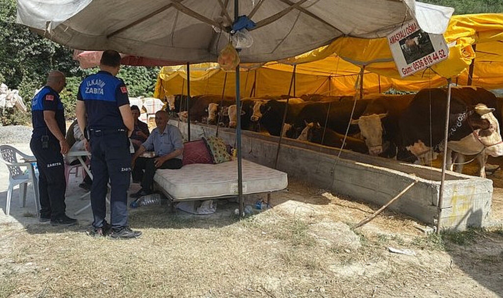 İlkadım Zabıtası Kurban Denetimlerini Arttırdı!