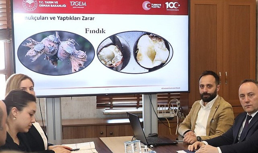 Büyükşehir’den Kahverengi Kokarca İle Mücadele!
