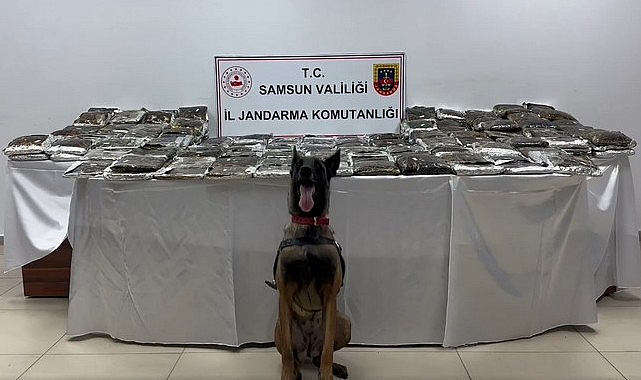 Samsun’da Yüklü Miktarda Uyuşturucu Yakalandı!